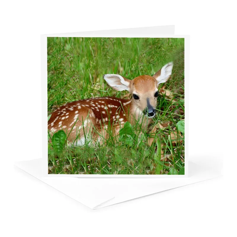 Spotted Fawn in Grass Card: Wild Animal Thank You Note