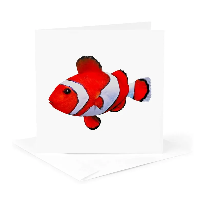 Red White Clownfish Card: A Bright Saltwater Fish Greeting