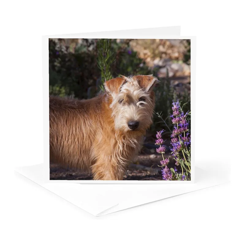 Wheaton Terrier Puppy Flowers Card for Dog Lovers