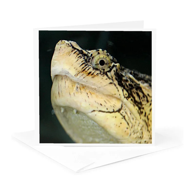 Turtle Head Close Up Card for Reptile Lovers