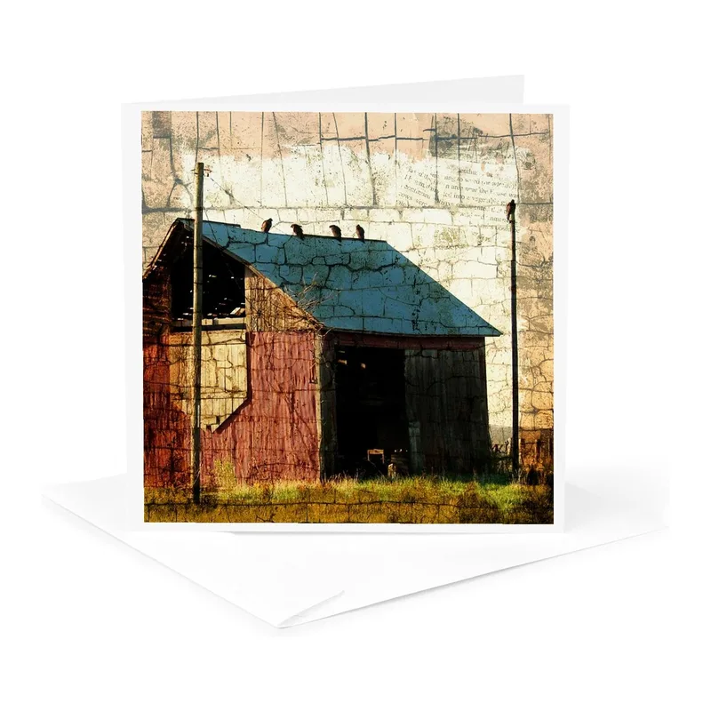 Weathered Red Barn Card – Red barn with vultures on blue roof and grunge overlay – Greeting Card in natural