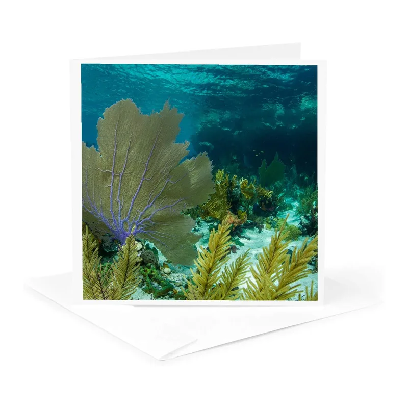 Blue Water Coral Reef Card: Underwater Fan Coral Design