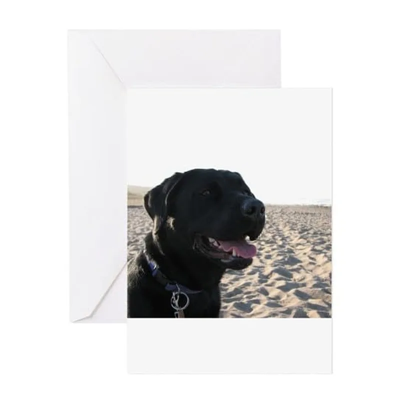 Black Lab Beach Card: A Happy Dog on the Sand