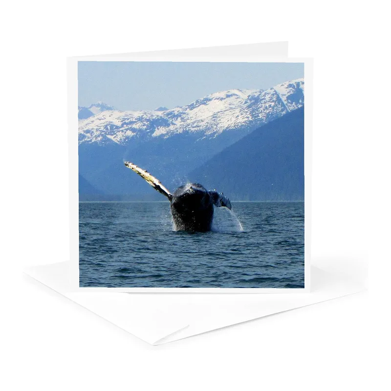 Humpback Whale Mountains Card: A Wild Marine Moment