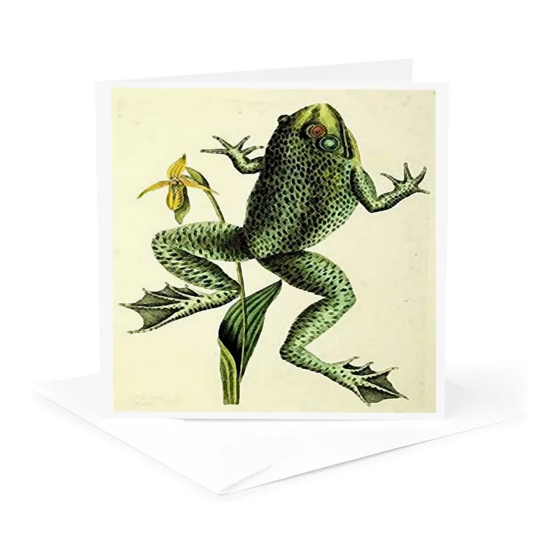 Vintage Green Frog Art Card features a spotted frog