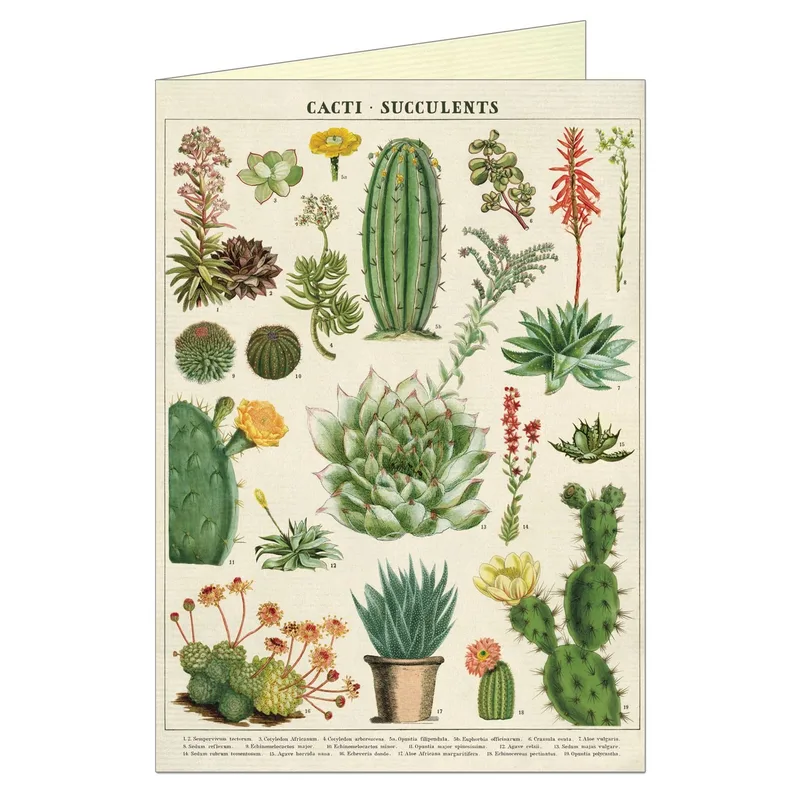 Vintage Cacti Succulents Chart Card for Botanical Enthusiasts