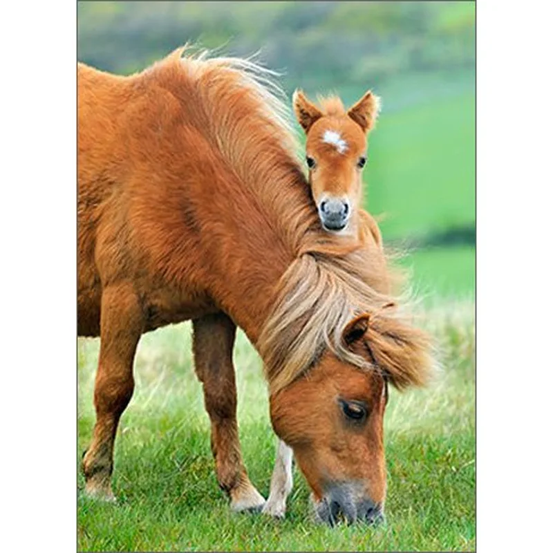 Chestnut Mare and Foal Card: A Tender Moment in the Pasture