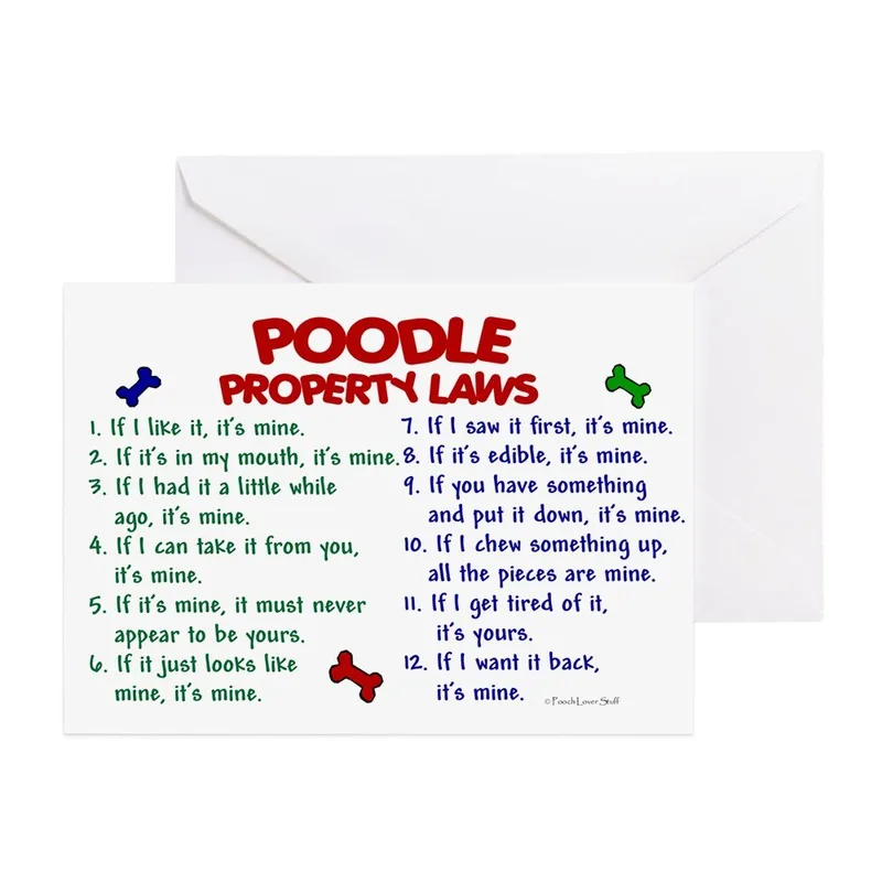 Colorful Text Poodle Laws Card: Funny Property Rules for Dog Lovers
