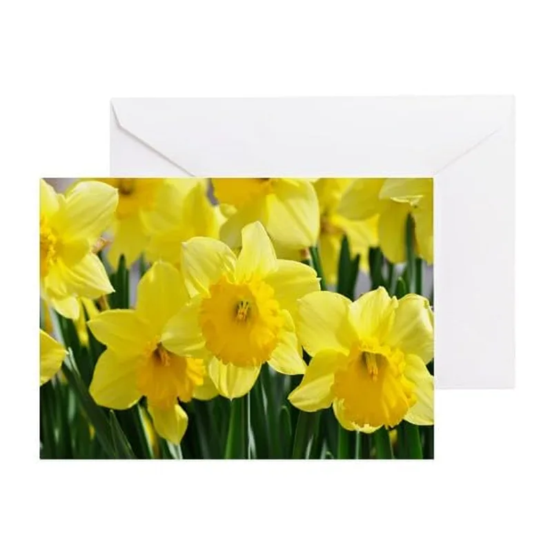 Yellow Daffodil Flower Photo Card for Spring Gratitude