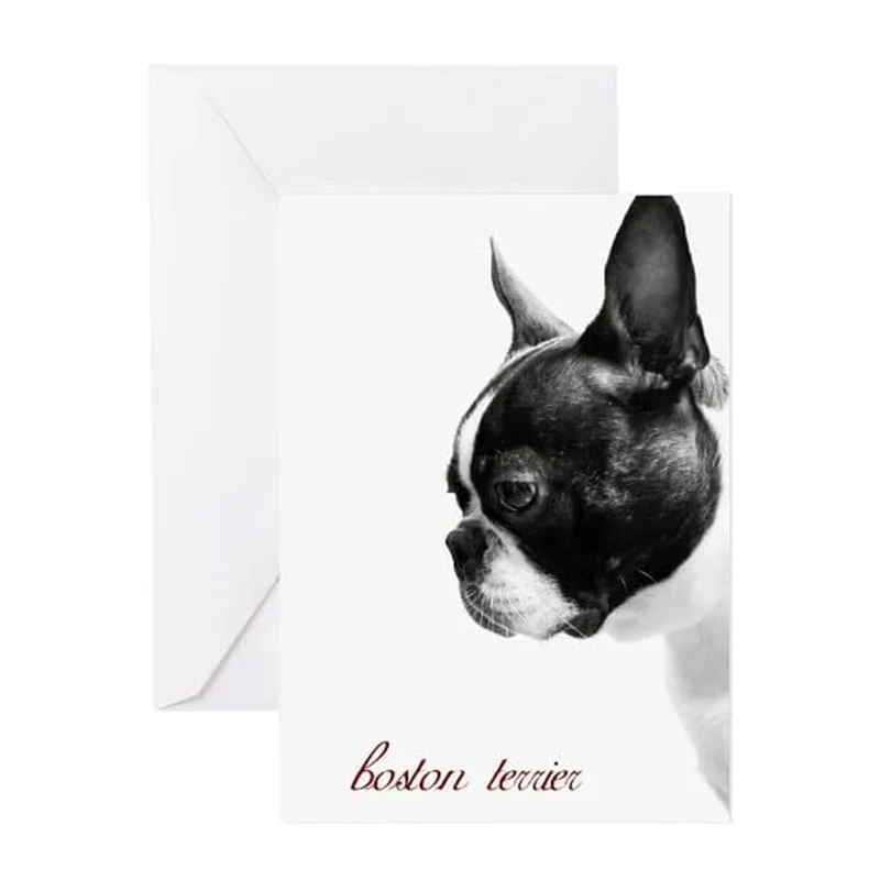 Black and White Terrier Card: A Boston Terrier Profile Design