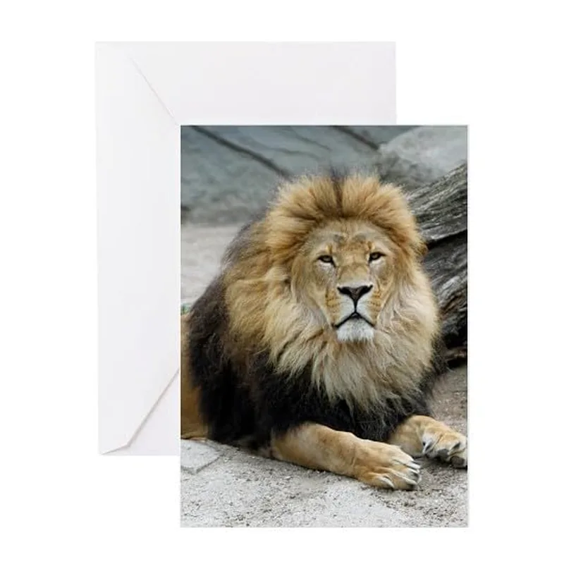 Lion Photo on Rock Card: A Majestic Wild Animal Greeting