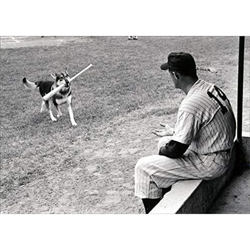 Dog and Baseball Player Card for the Fan with a Sense of Humor