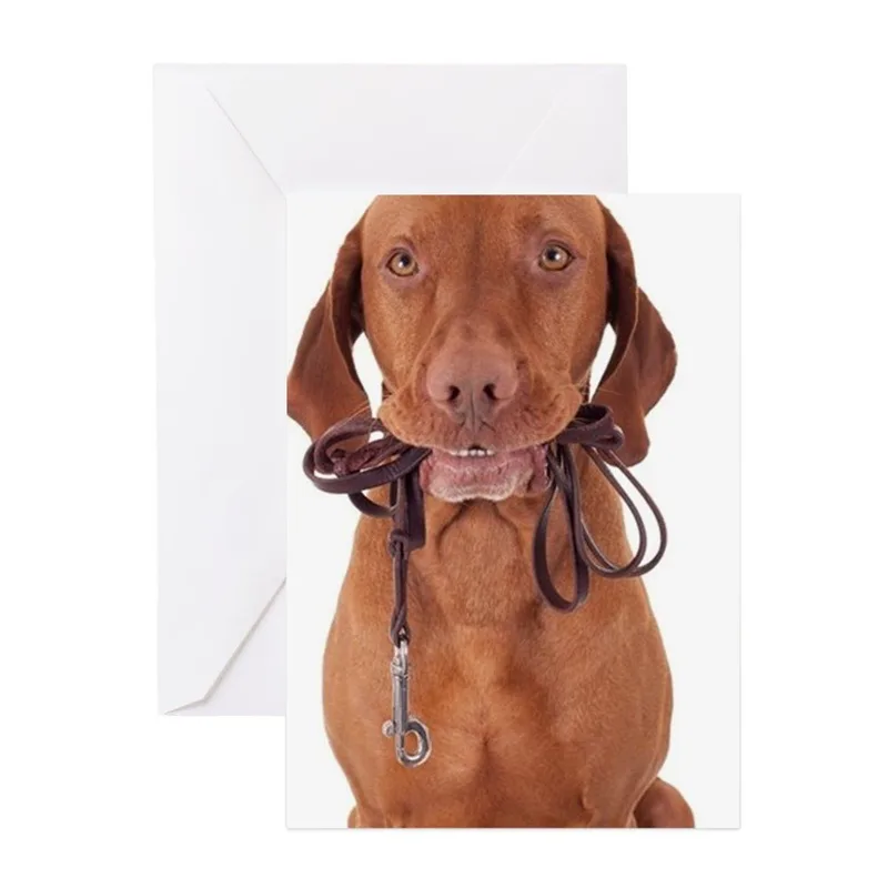 Vizsla Dog with Leash Card – Greeting Card in natural