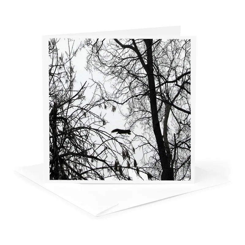 Black and White Branches Card: Flying Squirrel Silhouette Art