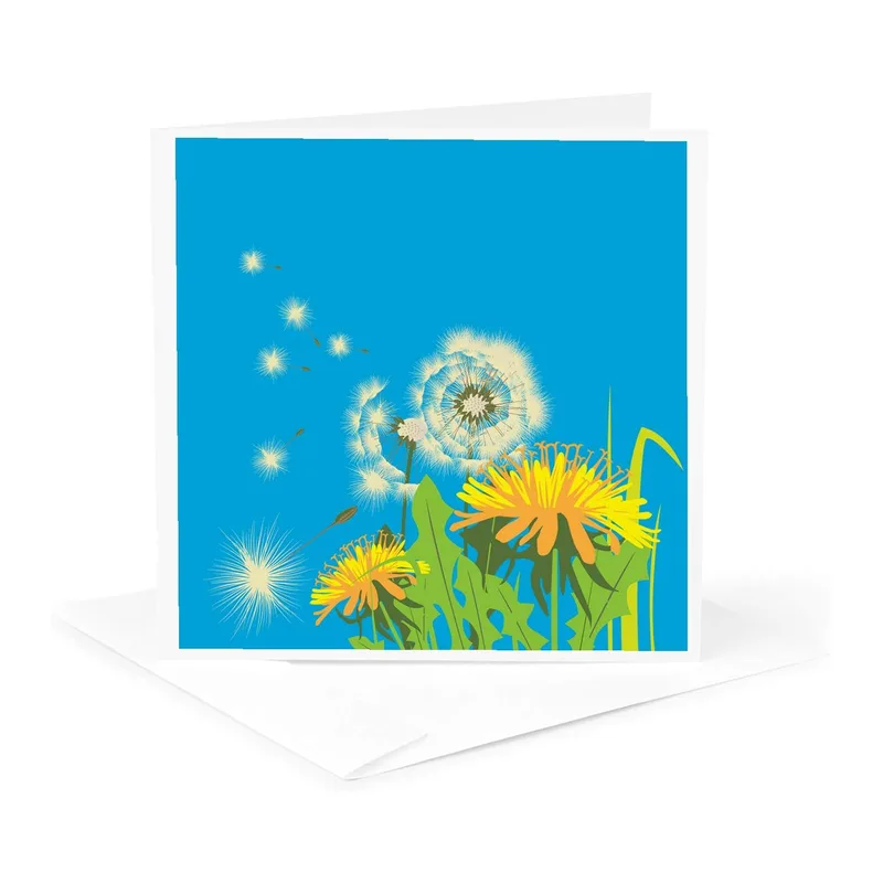 Dandelions on Blue Card – Yellow dandelion flowers and blowing seeds on a solid blue background – Greeting Card in natural