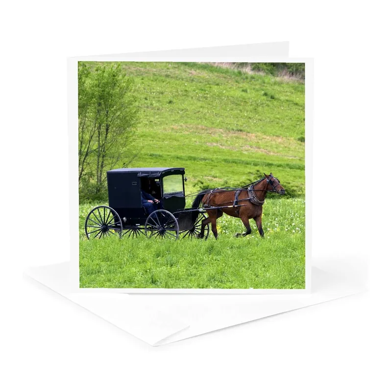 Green Field Horse Buggy Card: Amish Farm Scene Greeting