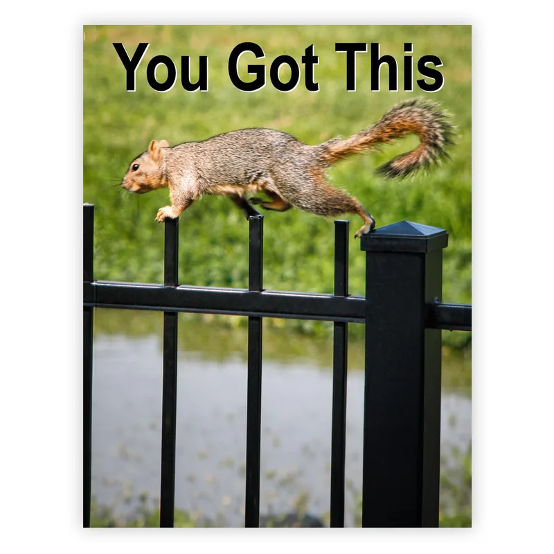 Squirrel Encouragement Card: a bold leap for your day