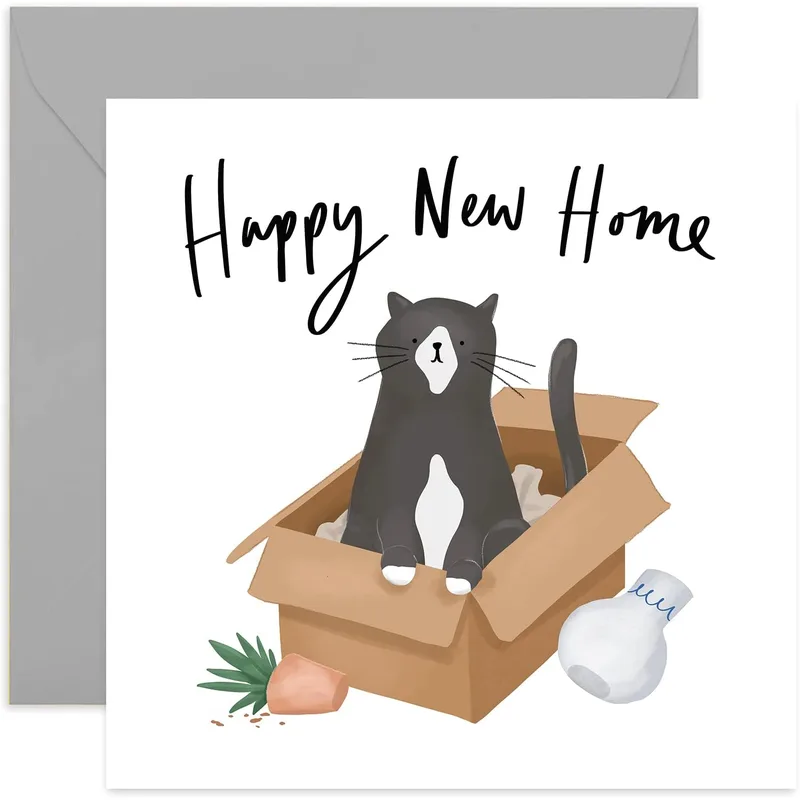 New Home Cat Card: A Grey Cat Settling Into a Box
