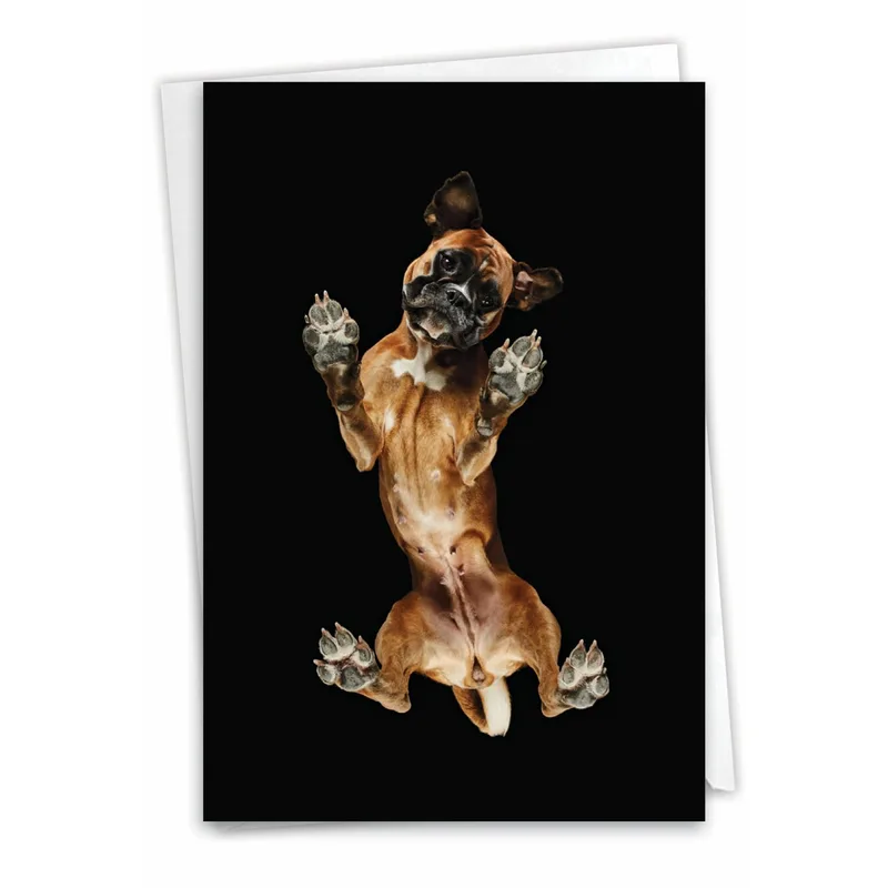 Boxer Dog Card for Someone You Miss Dearly