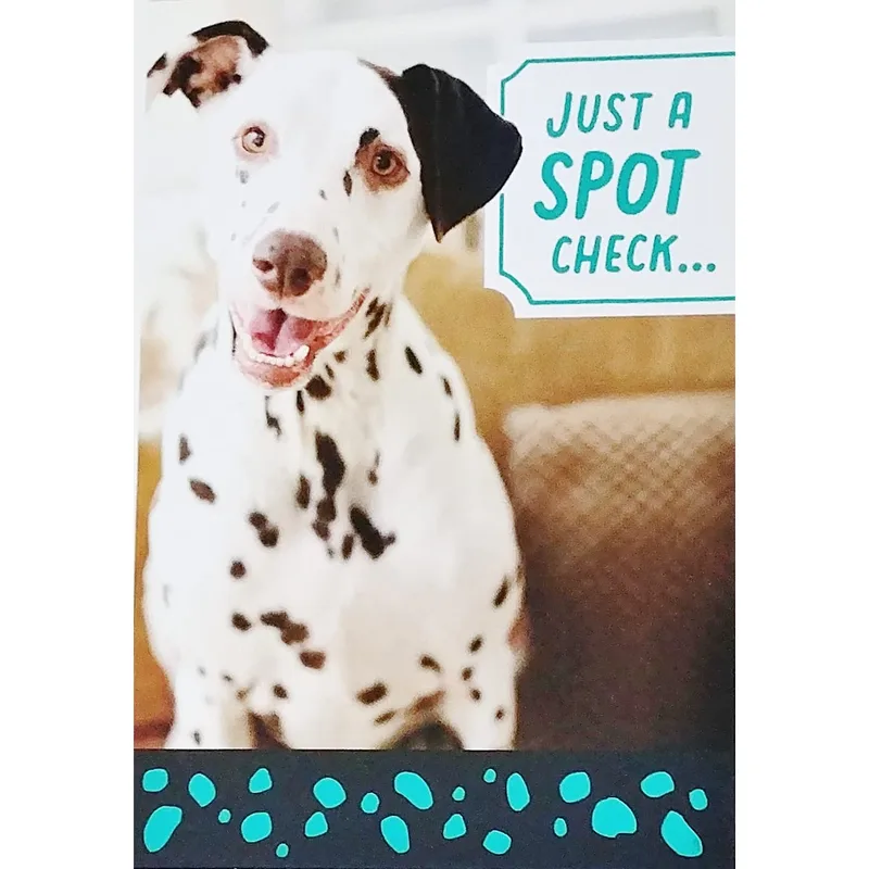 Dalmatian Dog Card: Just a Spot Check, Hello There