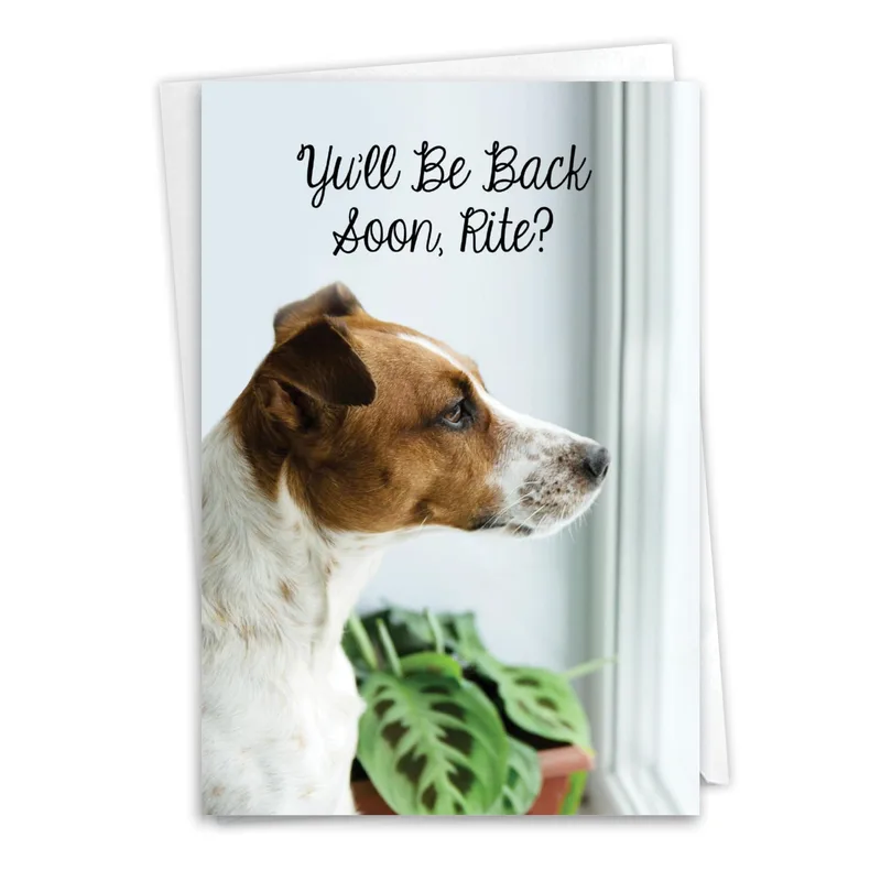 Looking Out Window Miss You Card: Dog Gazing Outside