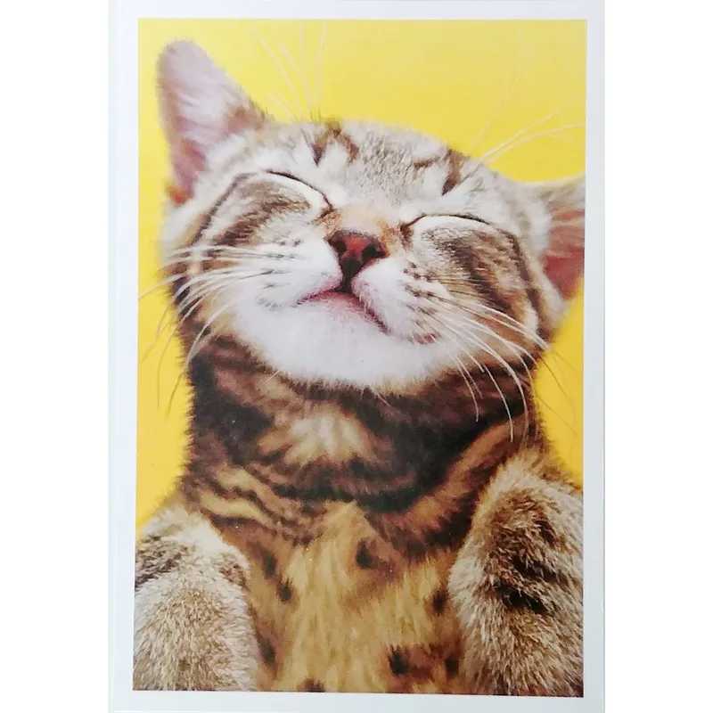 Tabby Cat Yellow Background Card: A Happy Kitty Just Because Note