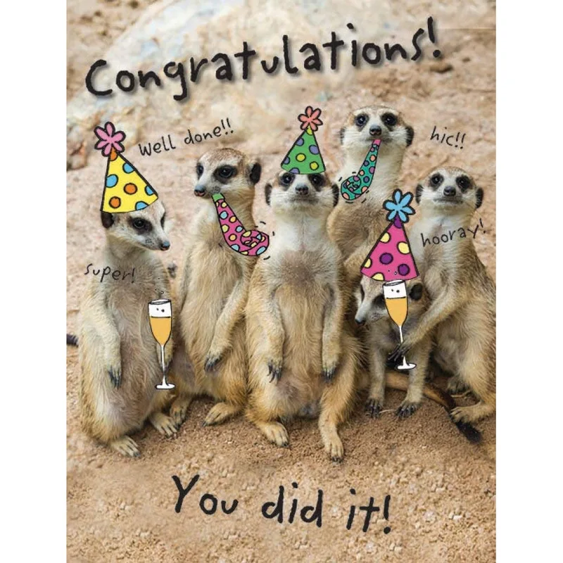 Meerkat Party Card: Congrats in Furry Party Hats