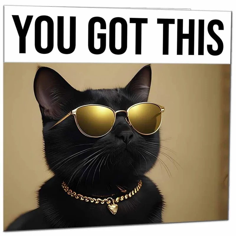 Black Cat Good Luck Card: You Got This Encouragement