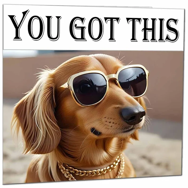 Good Luck Dog Card: You Got This, Sunglasses On