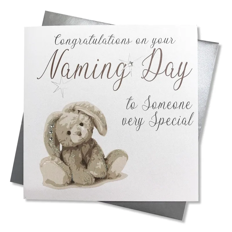 Bunny Plush Card New Baby Card Celebrating a Naming Day with Sparkle