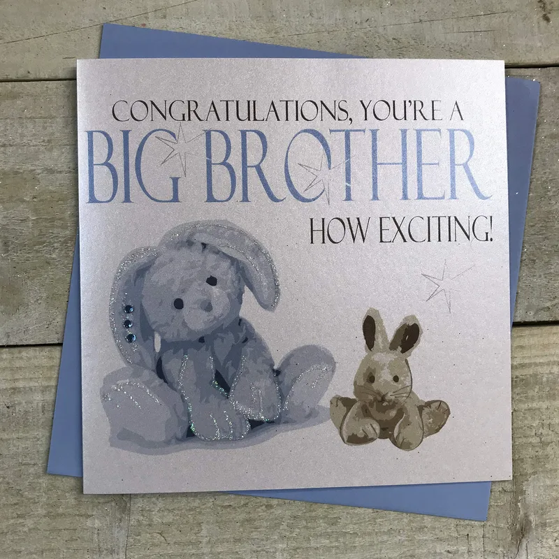 Bunny Plush Toys New Baby Card Big Brother Celebration