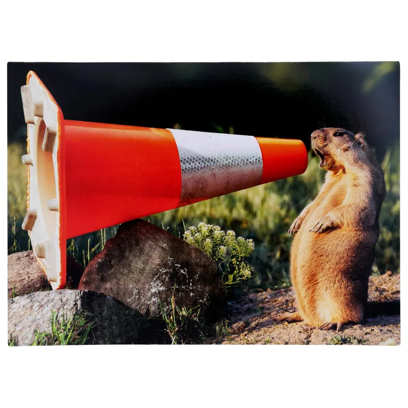 Groundhog Orange Cone Congratulations Card for New Job Success