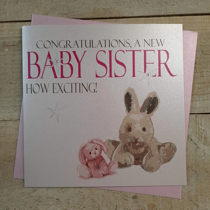 Bunny Plush Photo New Baby Card for a Sister