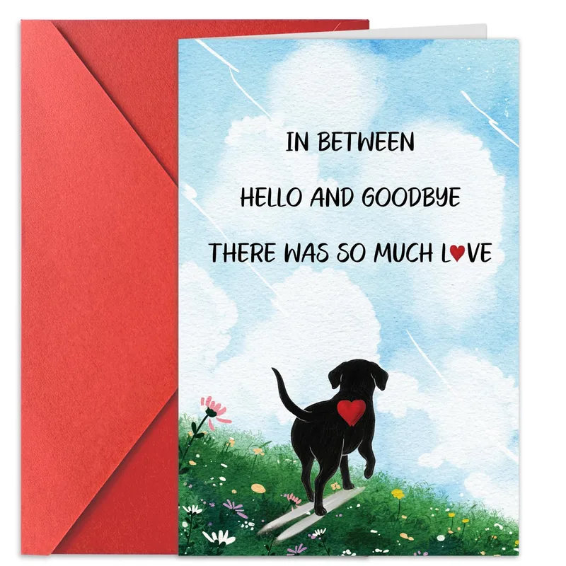 Black Dog Sympathy Card Celebrating Love Between Hello and Goodbye