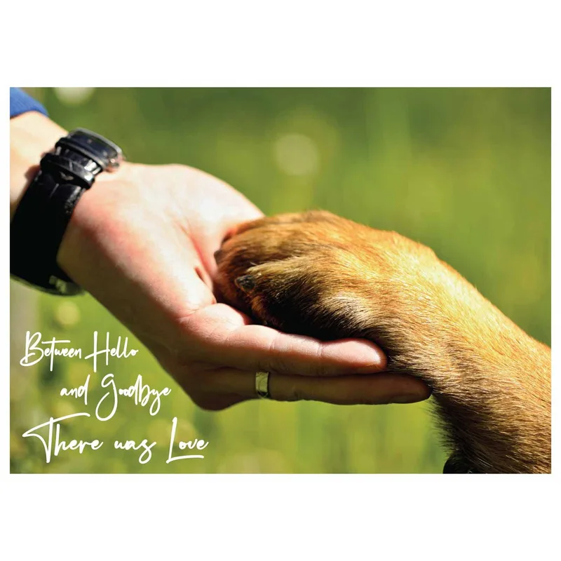 Loss of Dog Card: Between Hello and Goodbye