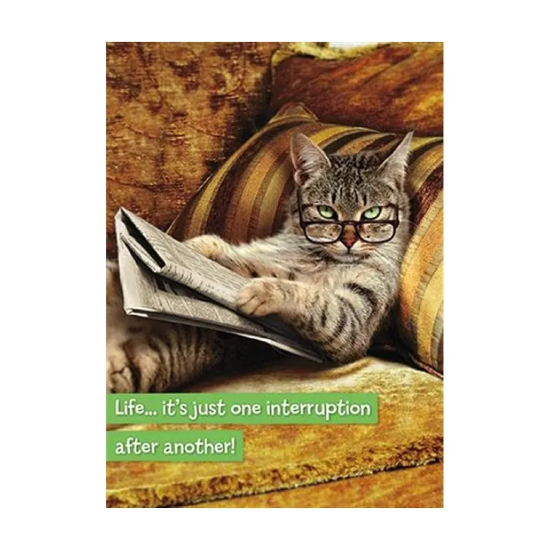 Cat Reading Newspaper Card: Life Is One Interruption After Another