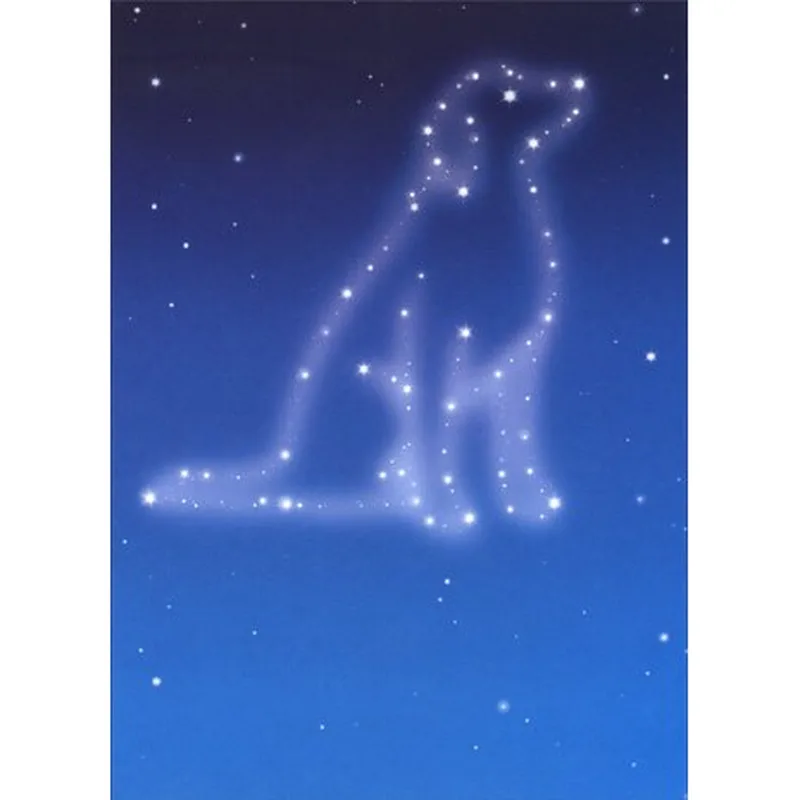 Dog Constellation Card for Grieving Pet Owners