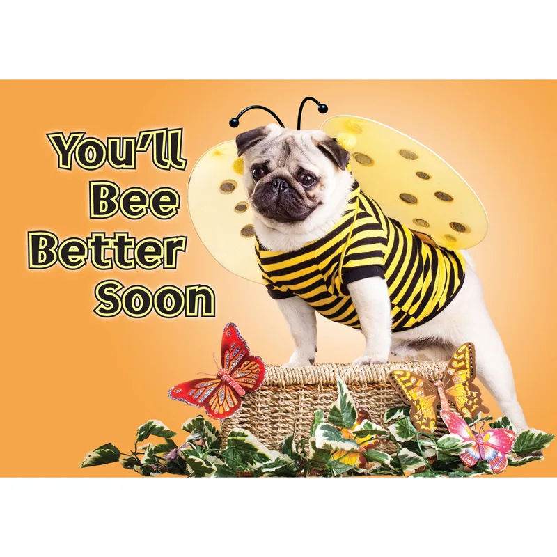 Bee Better Soon Card: A Pug in a Bee Costume