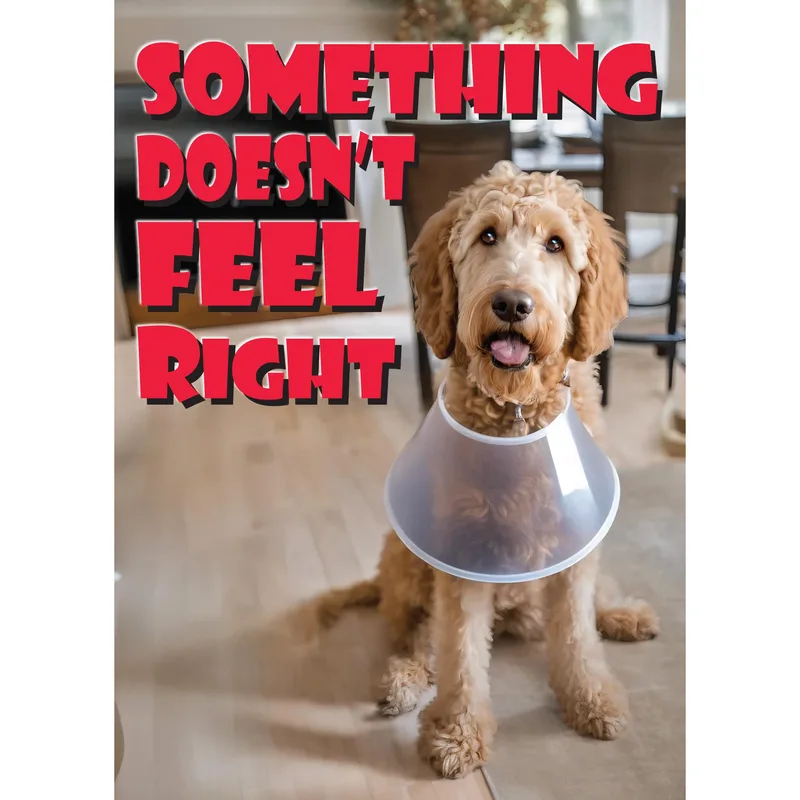 Dog Cone Get Well Card: Something Doesn't Feel Right