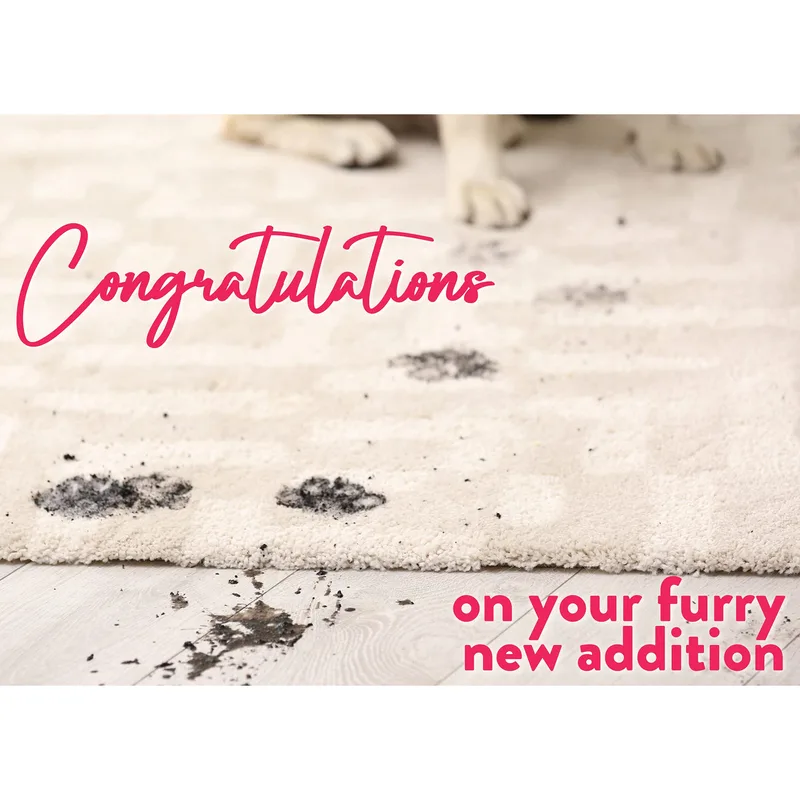 New Puppy Card – Congratulations on your furry new addition, with muddy paw prints – Greeting Card in black