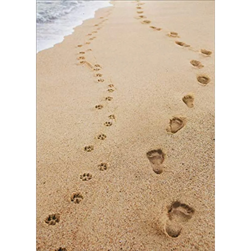 Dog Paw Prints Card for a Pet Sympathy Moment