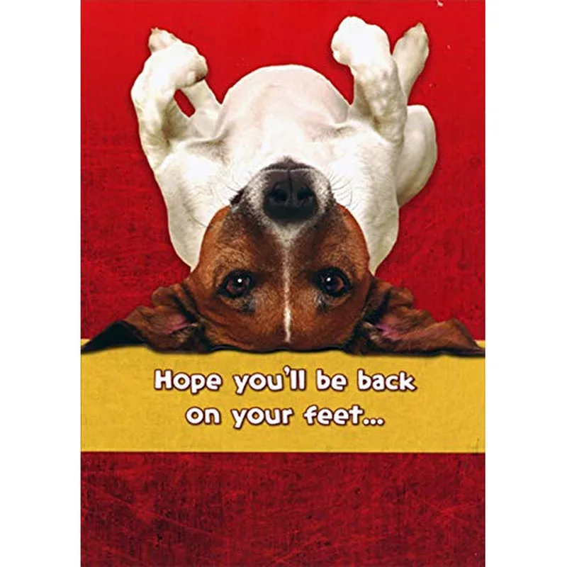 Upside Down Dog Card: A Get Well Wish With a Wag