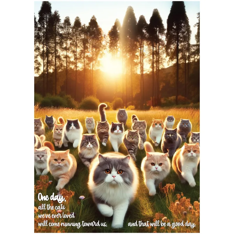 Cat Lover Sympathy Card: Cats Running Toward Us at Sunset