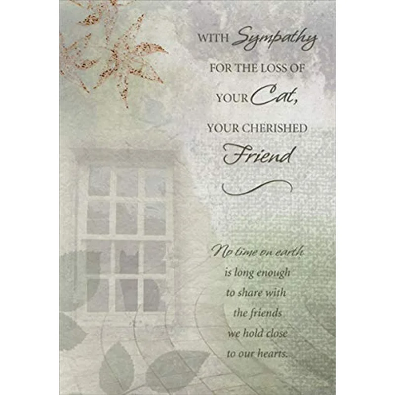 Sympathy for Losing Cat Card: Sage Window Design