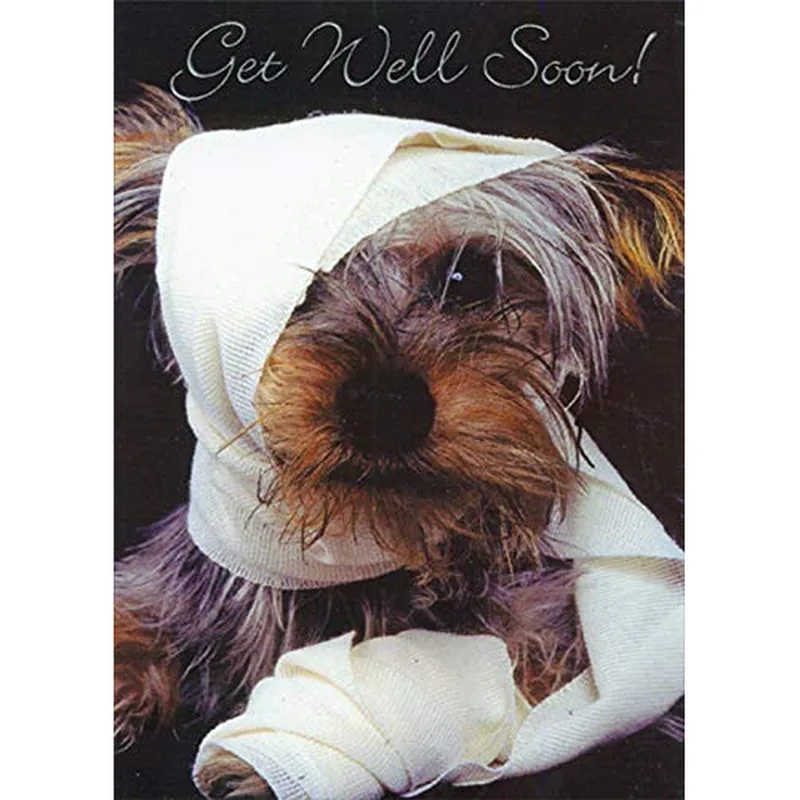 Bandaged Dog Card: A Get Well Soon Greeting for Friends