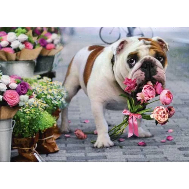Bulldog with Flowers Card for a Speedy Recovery