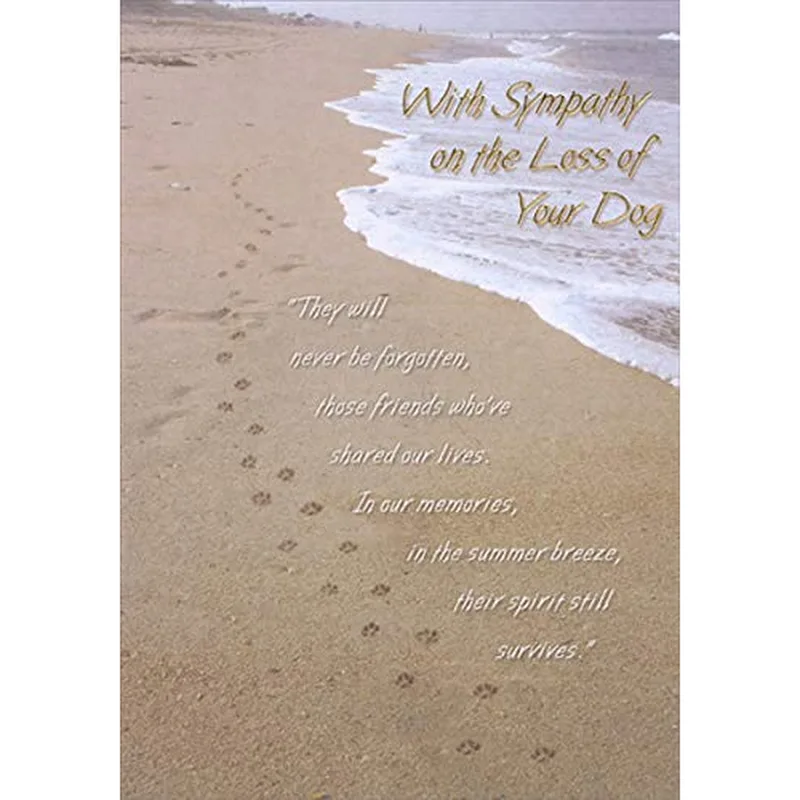 Beach Paw Prints Sand Card for Grieving Dog Owners