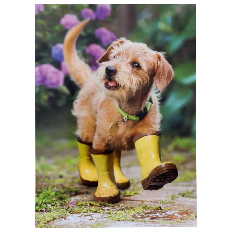 Puppy in Rain Boots Card for a Get Well Wish