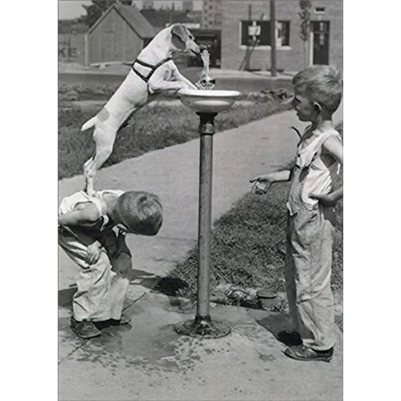 Vintage Dog Fountain Card – Black and white vintage photo of a dog drinking from a fountain – Greeting Card in black