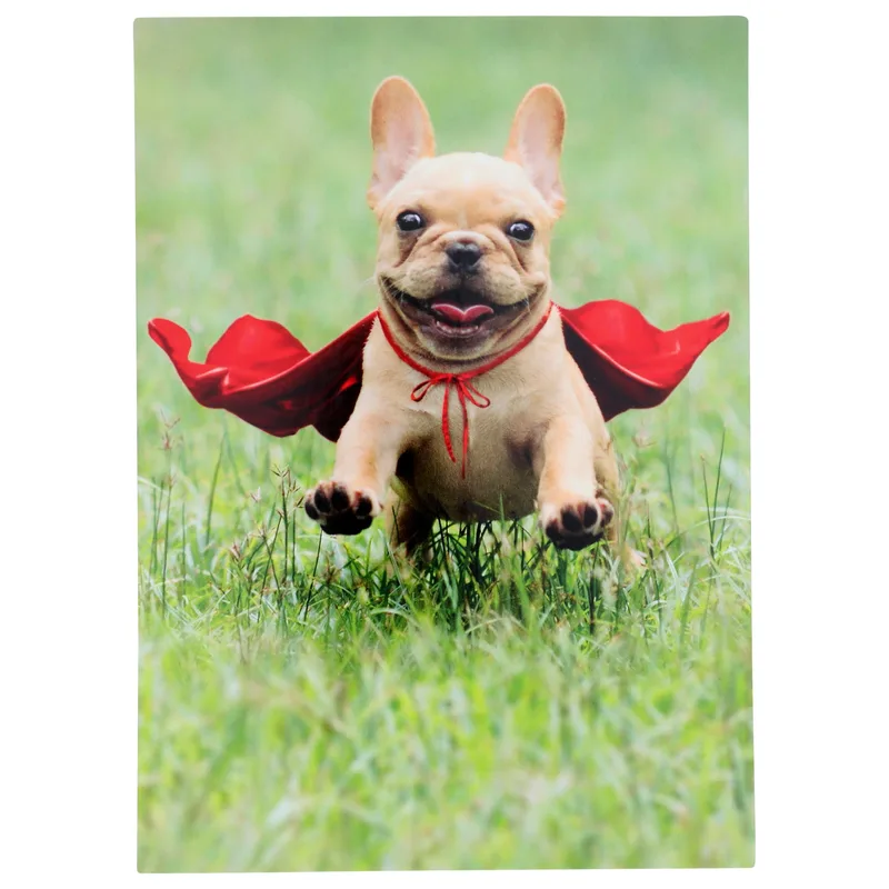 Super Frenchie Card for a Bold Thank You